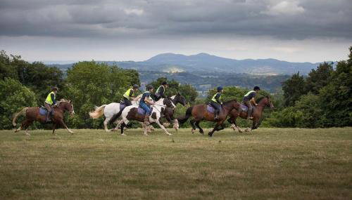 Willow - Tedstone Log Cabins - Foto 2