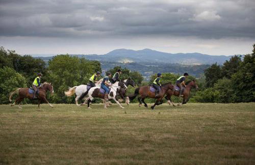 Willow - Tedstone Log Cabins - Foto 2