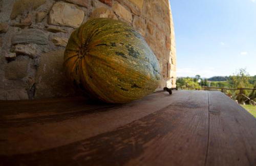 Agriturismo San Fedele - Photo 48