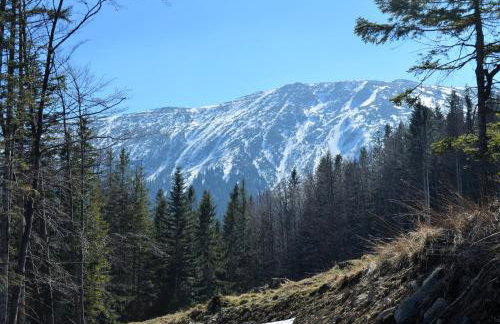 Dom na Mosornym Groniu - Foto 34