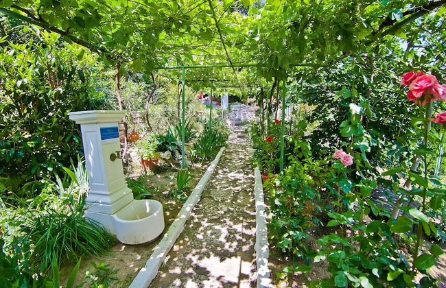 Villa Sequoia - Foto 45