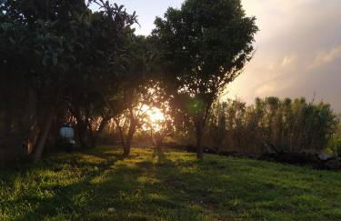 Casa dos Narizes - Photo 29