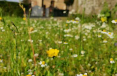 Maison de vacances 3 chambres à 400 m de la plage Kairon - Saint Pair sur mer - Foto 49
