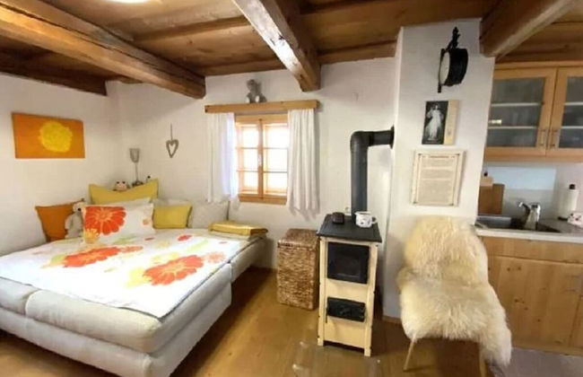 Andi's Berghutte Comfortable Holiday Residence - Foto 2