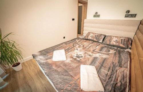 Apartamenty Alegrima - Foto 8