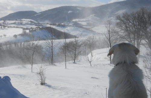 L'Isola Che Non C'era - Foto 10