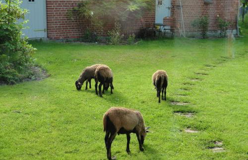 Ferienwohnung zum Breitling in Stove - Foto 25