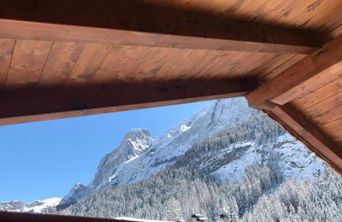 Cesa Mandi e Miky - Foto 8