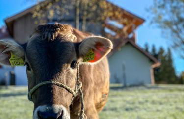 Eibele Chalets - Foto 47