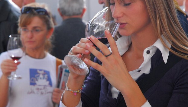 Tour culinario y de cata de vinos de Burdeos - Foto 5, Cata de vinos en la capital mundial del vino