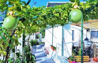 Seixal Bay Village - Estúdio Vista Piscina - Foto 16