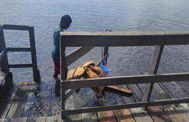 Amazônia Residencial Romulo Tour 3 - Foto 6