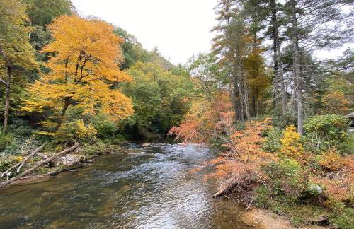 A Slice of High Country Heaven, Seven Devils Condo - Foto 41