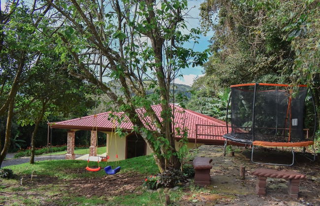 Macadamia - Monteverde - Foto 15