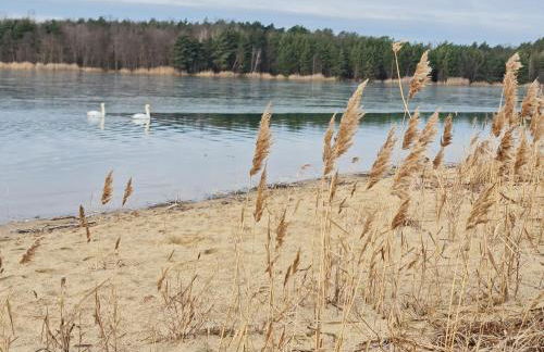 Ferienhäuser Kiebitzsee - Foto 26