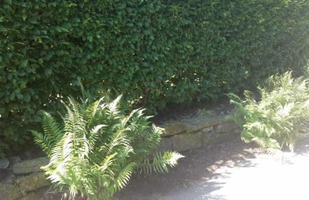 Übernachten in unseren Crutpracht Gästezimmern mit großem Bauernfrühstück, ab April 24 auch in der DUFFEL-SCHEUNE - Foto 14