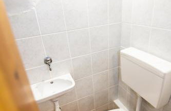 Strix Aluco Kalavryta - Foto 9