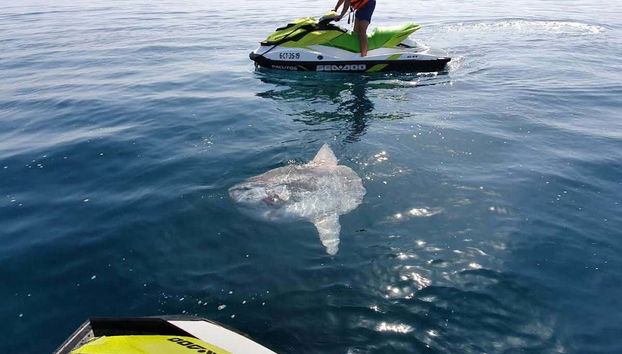 Tour in Manilva - Foto 4