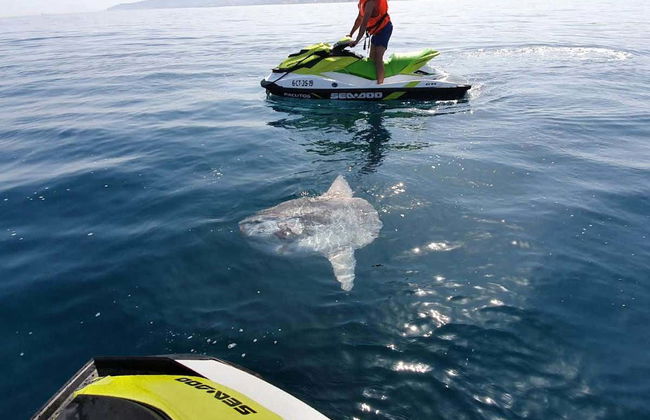 Tour in Manilva - Foto 4