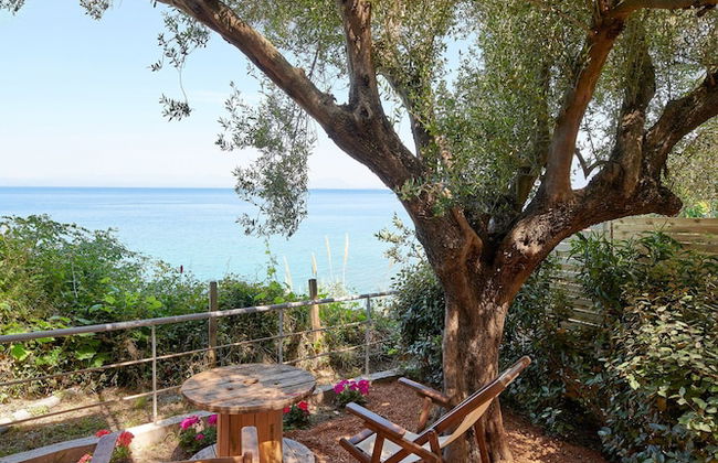 Cape Kitries - Foto 39