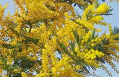 Studio indépendant à la Villa Garlaban 3 étoiles - Foto 23