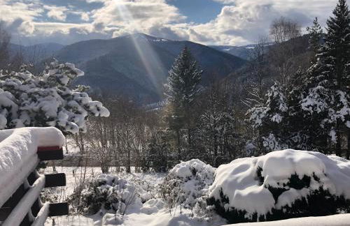 Chalet Braunkopf ALSACE - Foto 8