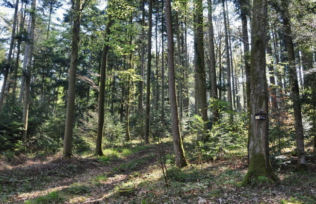 Apartment on the Isenmann Fruit Farm - Foto 9