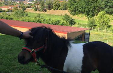 Casinha à Porta - Foto 53