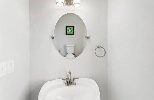 CAC-23B - Zebrafish - Foto 16