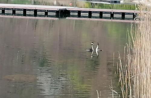 Ca' dei Cigni - Foto 24