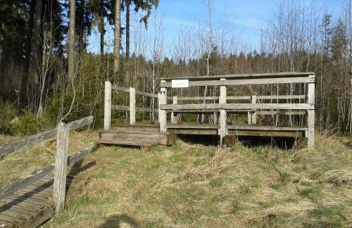 Ferienwohnung Bleialf - Foto 6