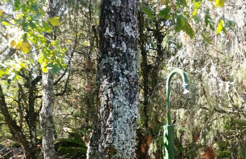 El Rincón de Gredos - Photo 46