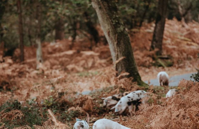 Leeward House - Photo 39