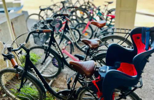 Ile de Malvy - Photo 23