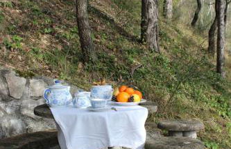 Villa Magnolia - Foto 14