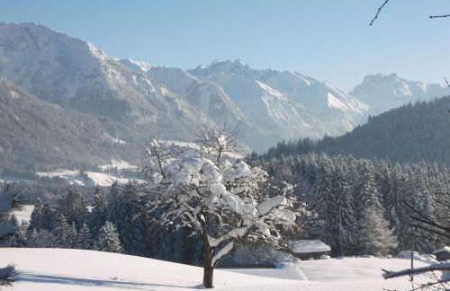Landhaus Vogler - Foto 19