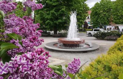 BiesCzadowe Wzgórze - Foto 22