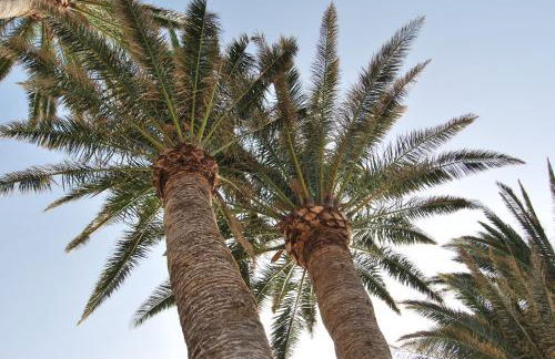 LOS FRAILES I - Foto 56