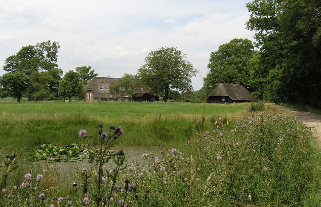 Holiday Home With Garden in Den Ham - Foto 32