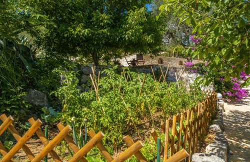 Etno House Wagner - Foto 23