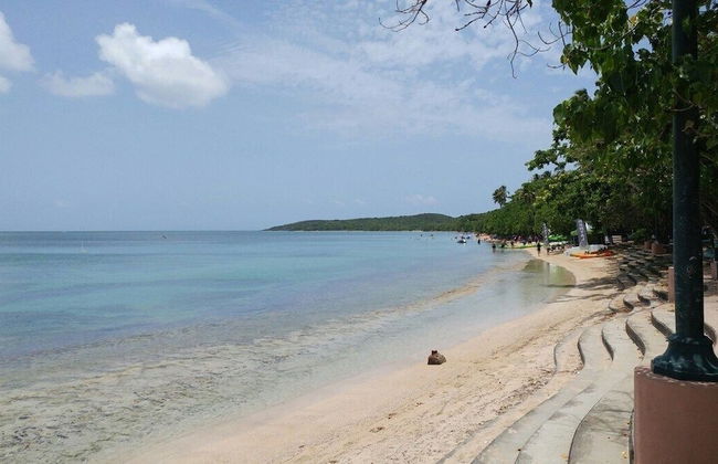 Beachfront Studios - Photo 64