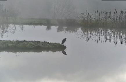 Snug & Secluded Lakeside Shepherds Hut 'Carp' - Foto 34