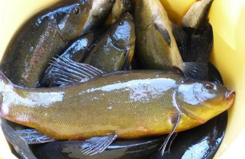 Holiday Home in Kaschubei by Interhome - Foto 20