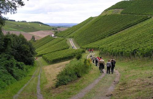Holiday apartment in Castell with barbecue - Photo 26