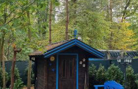 Niezapominajka - Foto 14