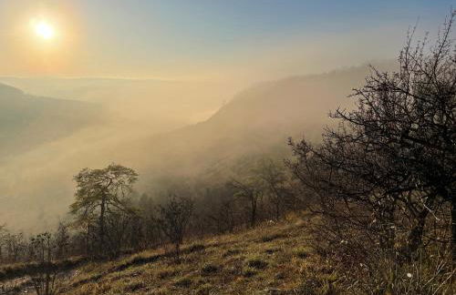 Ferienhaus Jena - Feuer und Flamme - Foto 34