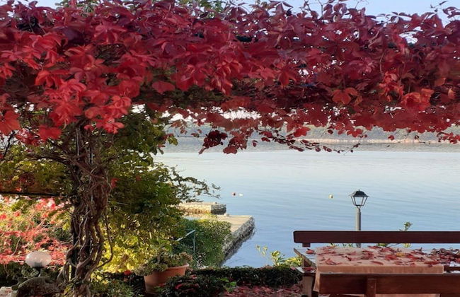 Apartments Biserka - Foto 32