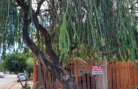 Chale para temporada - Bonito MS - Foto 27