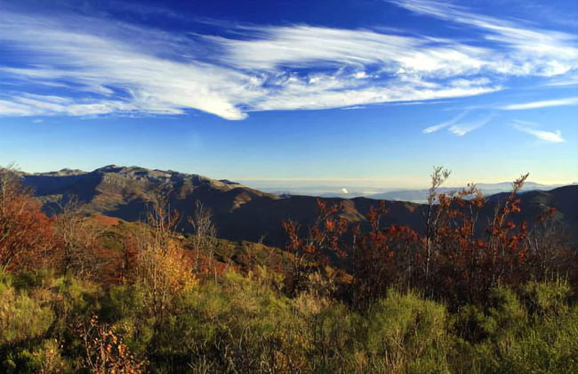 Gran Hotel Rural Cela - Foto 31