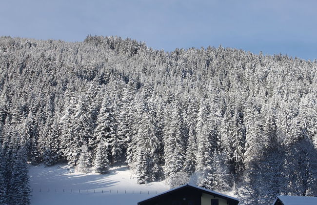 Mühlradl Apartments - Foto 38